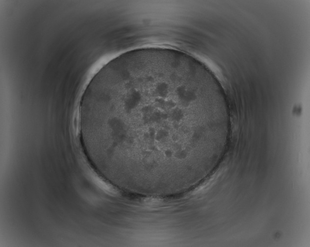 X0000100851371200807070923