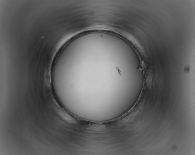 X0000100851372200807070923