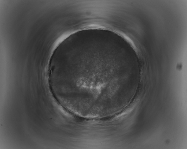 X0000100851373200807070923