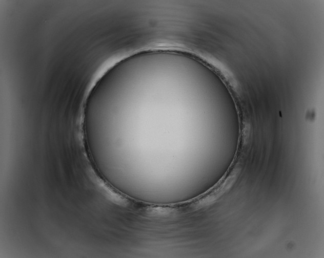 X0000100851374200807070923