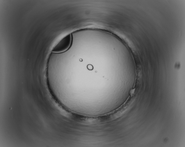 X0000100851375200807070923