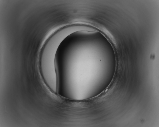 X0000100851376200807070923