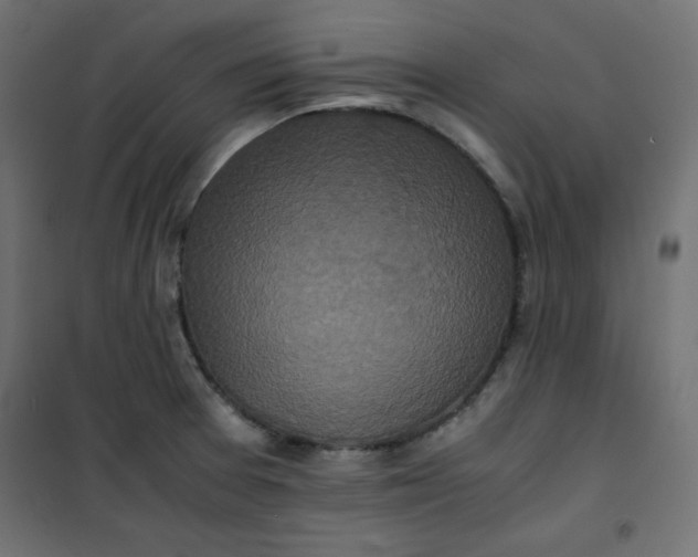 X0000100851377200807070923