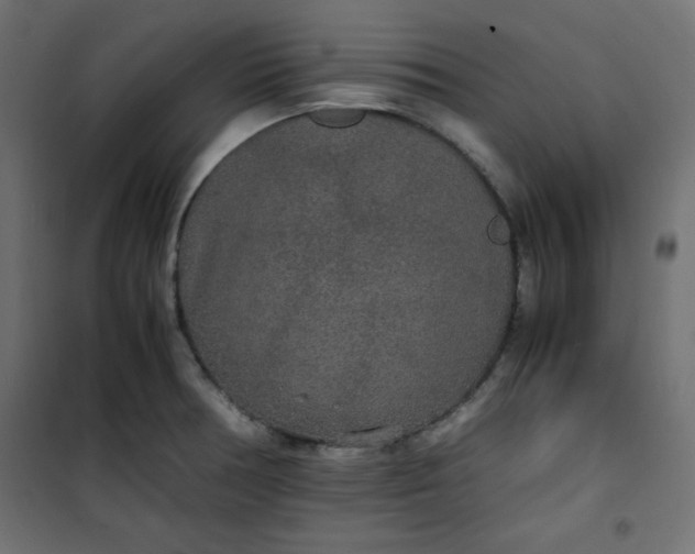 X0000100851378200807070922