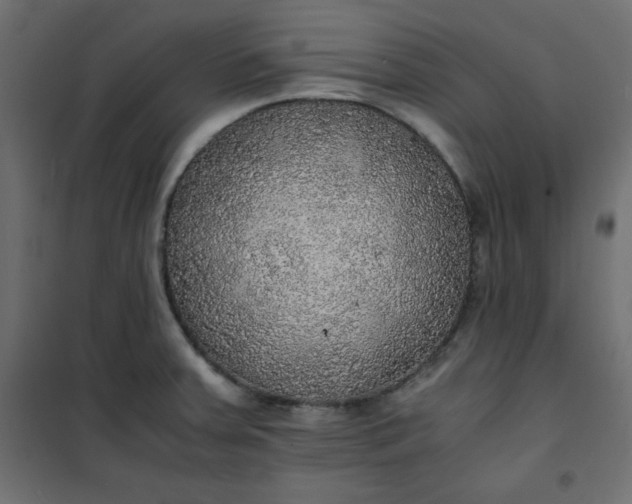 X0000100851379200807070922