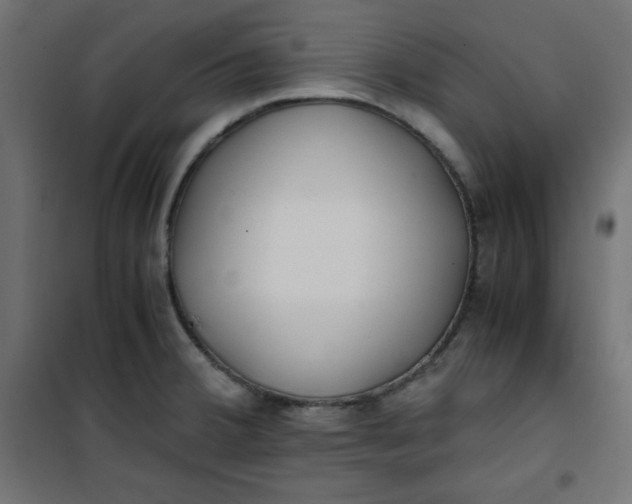 X0000100851380200807070922