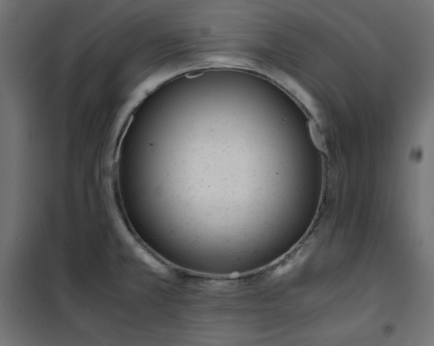 X0000100851381200807070922