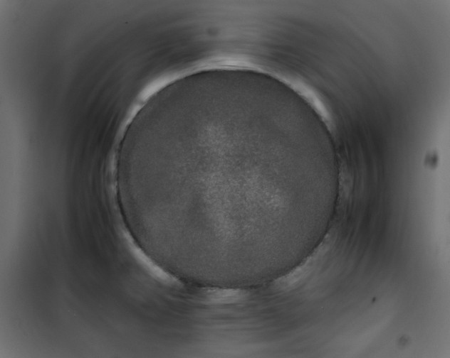 X0000100851382200807070922