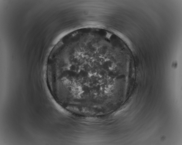 X0000100851383200807070922