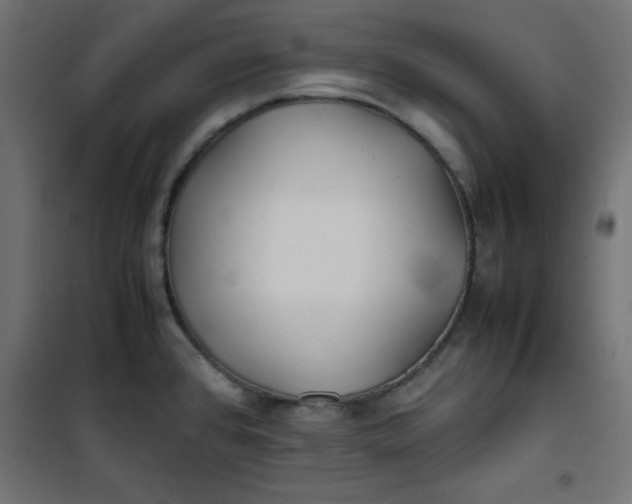 X0000100851384200807070922