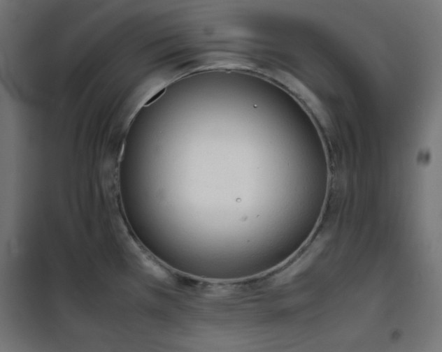 X0000100851385200807070922