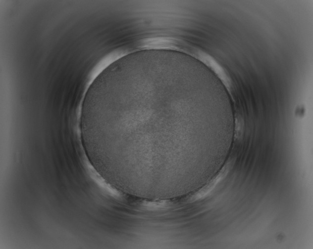 X0000100851386200807070922