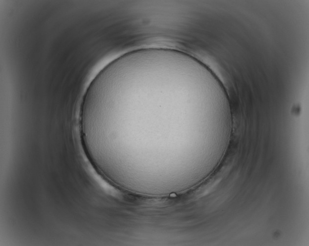 X0000100851387200807070922