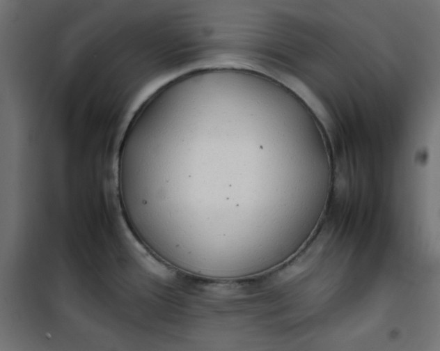 X0000100851388200807070922