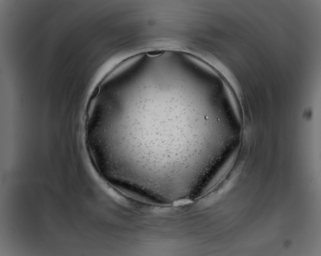 X0000100851389200807070922