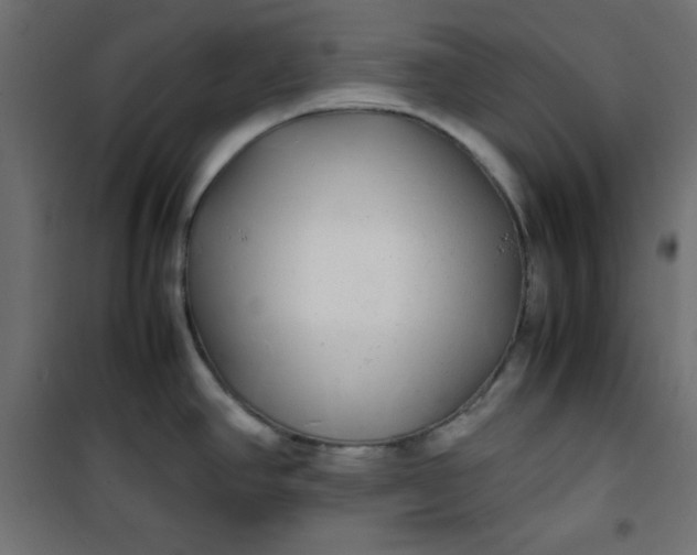 X0000100851390200807070922