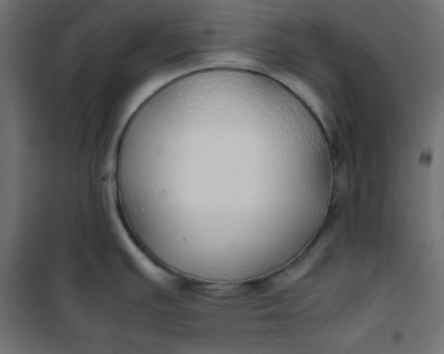 X0000100851391200807070922