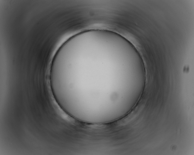 X0000100851392200807070922