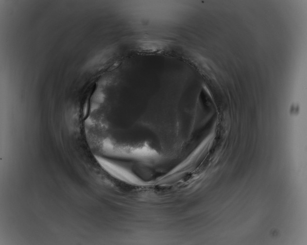 X0000100851394200807070921