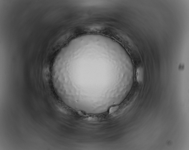 X0000100851395200807070921