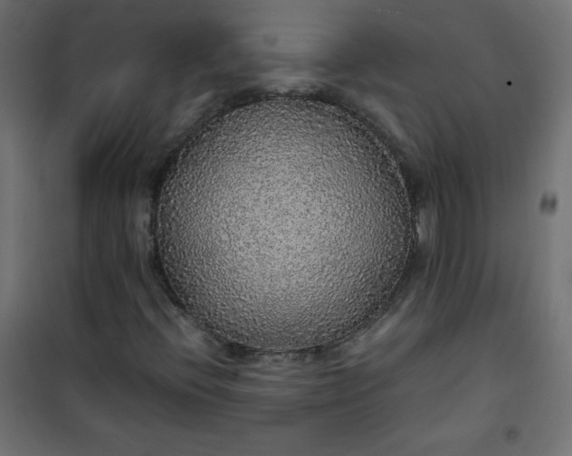 X0000100851396200807070922