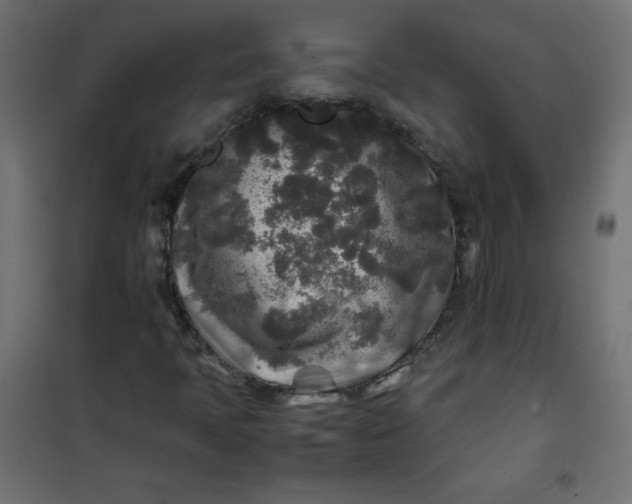 X0000100851397200807070922