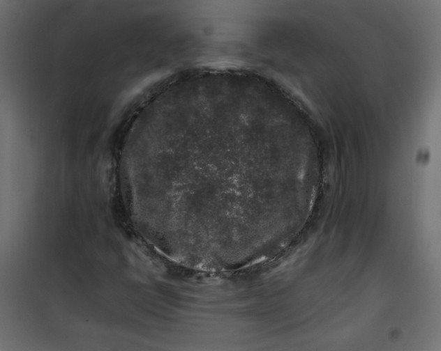 X0000100851398200807070922