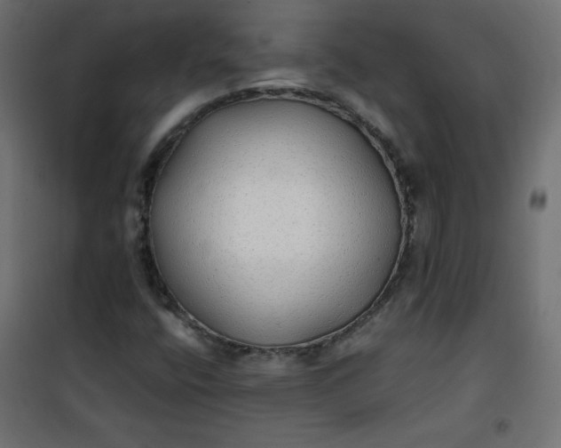 X0000100851400200807070922