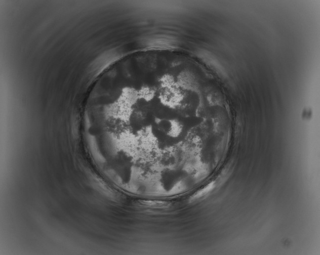 X0000100851401200807070922