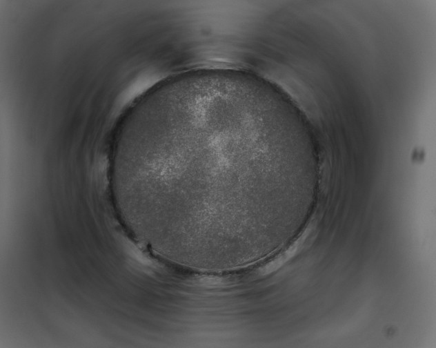 X0000100851402200807070922