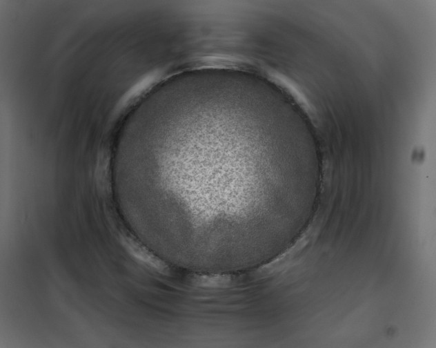 X0000100851403200807070922