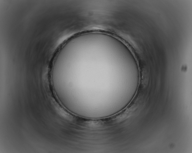 X0000100851404200807070922