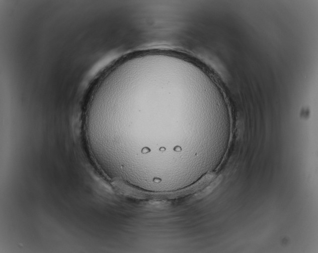 X0000100851406200807070922