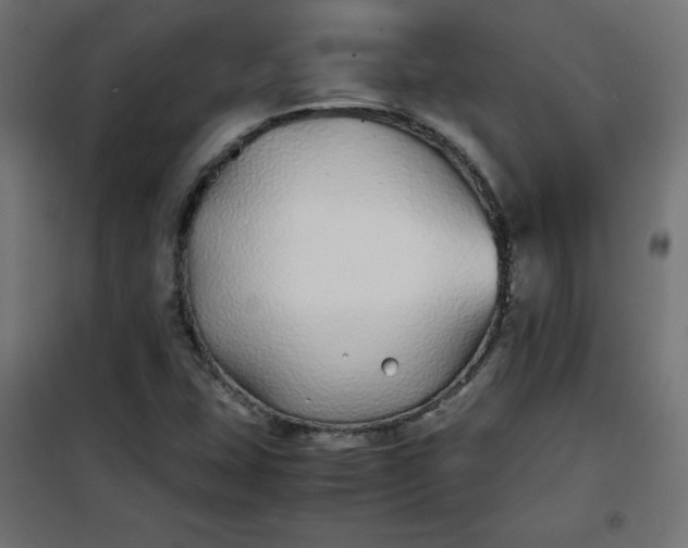 X0000100851407200807070922