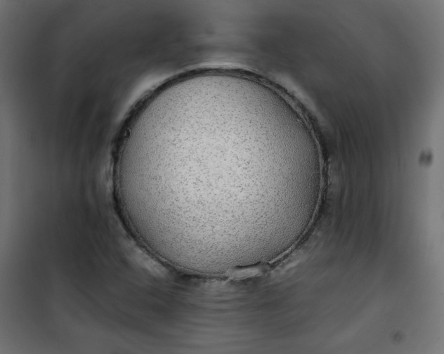 X0000100851408200807070922