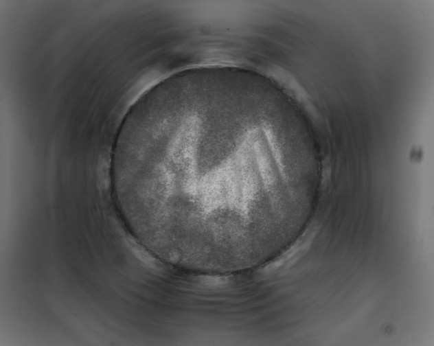 X0000100851409200807070922