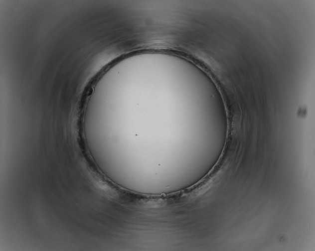 X0000100851410200807070922