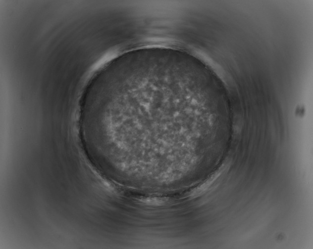 X0000100851411200807070922