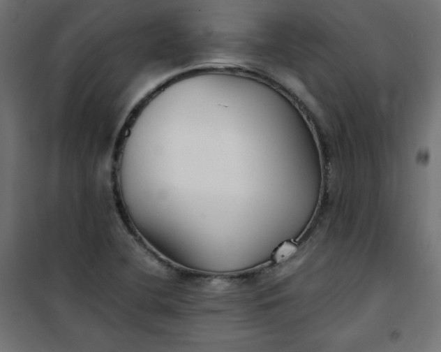 X0000100851412200807070922