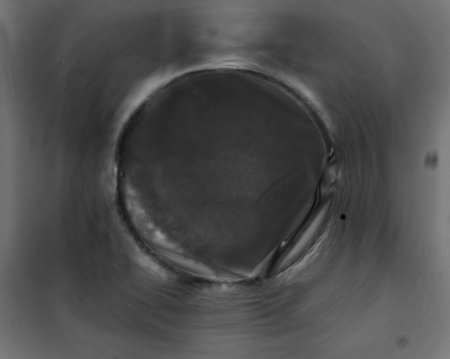 X0000100851414200807070922