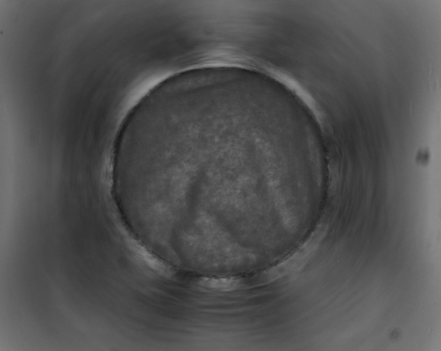 X0000100851415200807070922