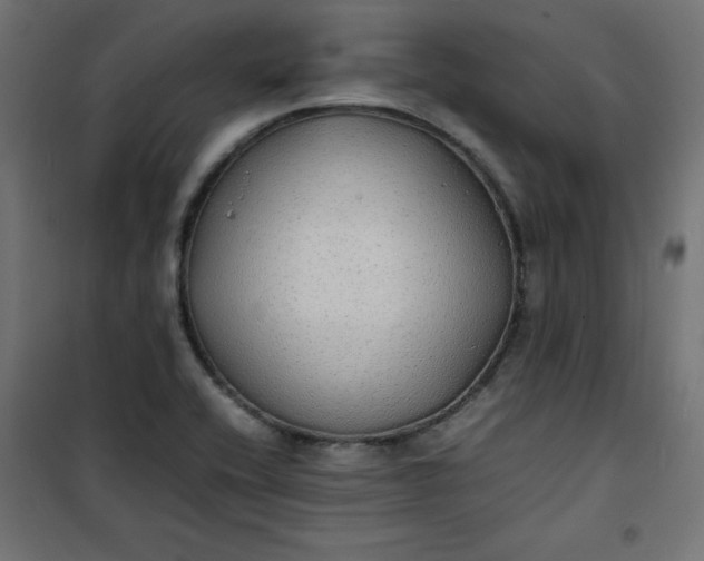 X0000100851416200807070922