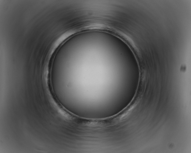 X0000100851418200807070922