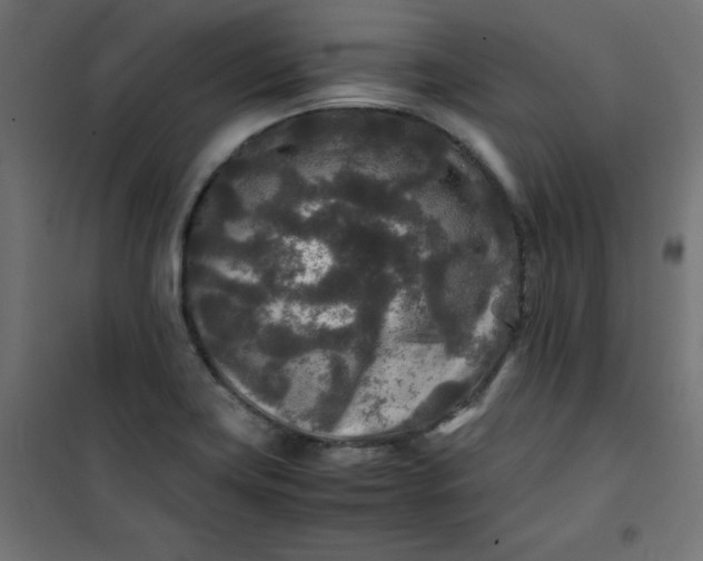 X0000100851419200807070922