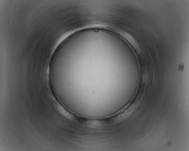 X0000100851420200807070922