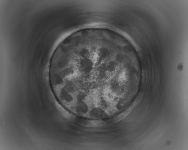 X0000100851421200807070922