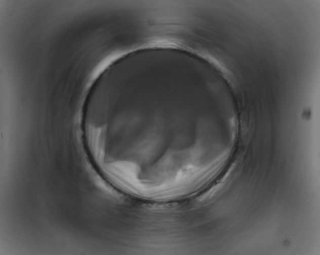 X0000100851422200807070922