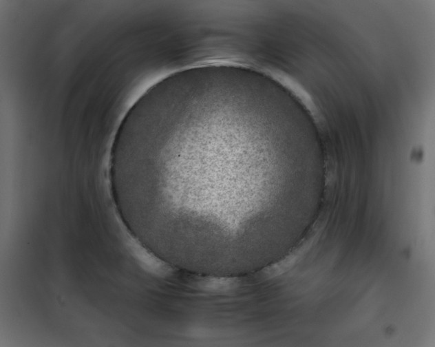 X0000100851423200807070922