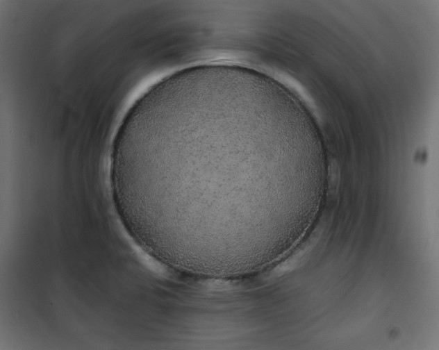 X0000100851424200807070922