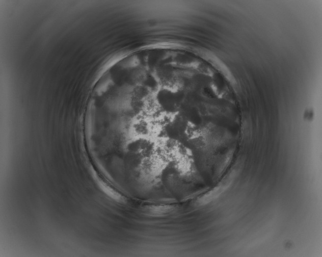 X0000100851425200807070922